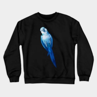 Playful Blue Spix Happy pet macaw parrot Crewneck Sweatshirt